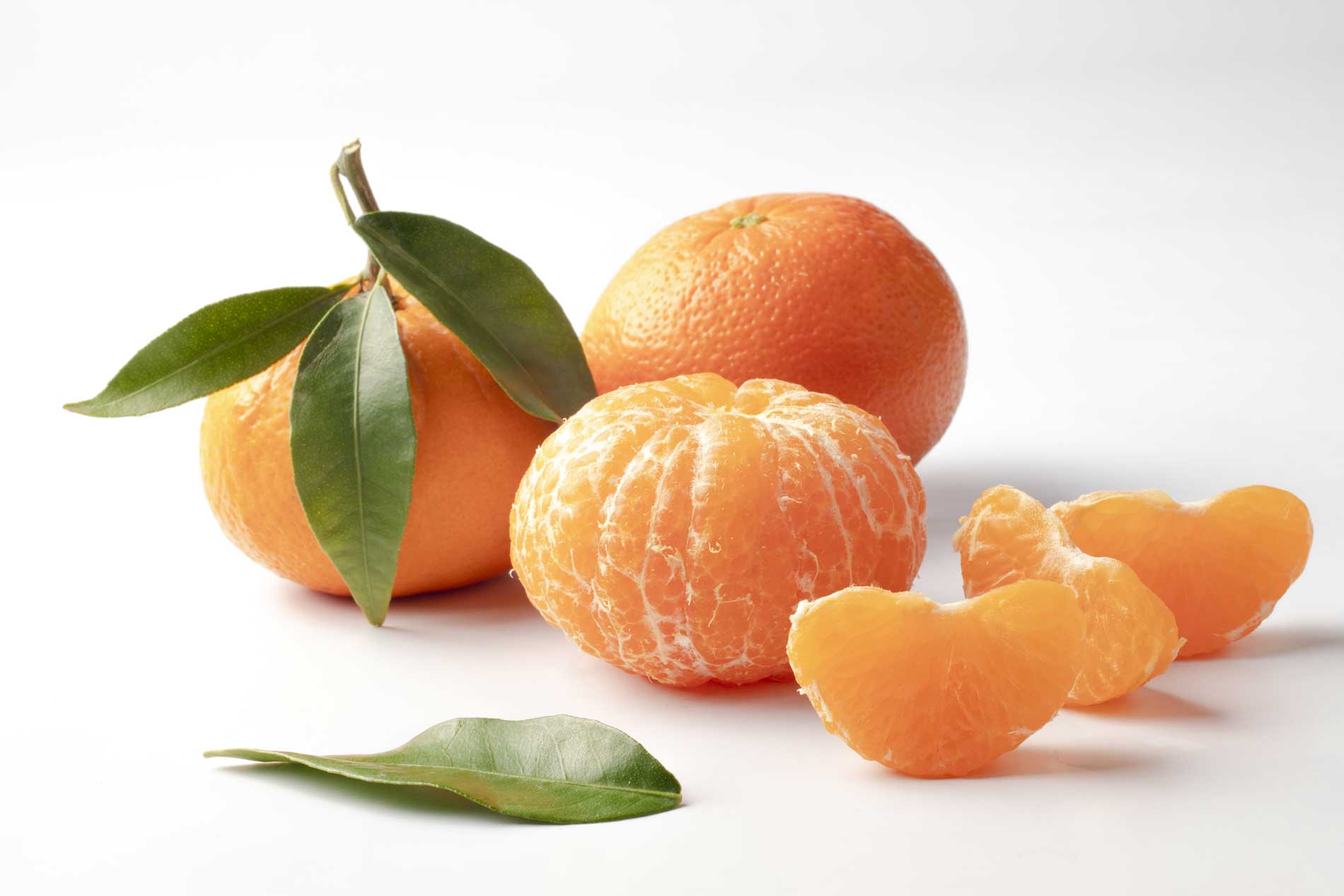 Clementine - Società Agricola Morrone
