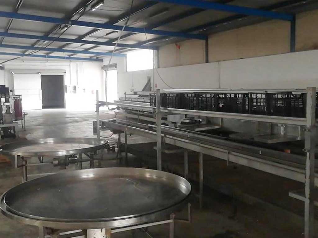Servizi 4 Società Agricola Morrone srl