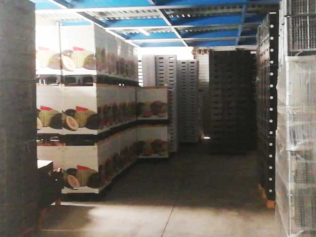 Servizi 5 Società Agricola Morrone srl