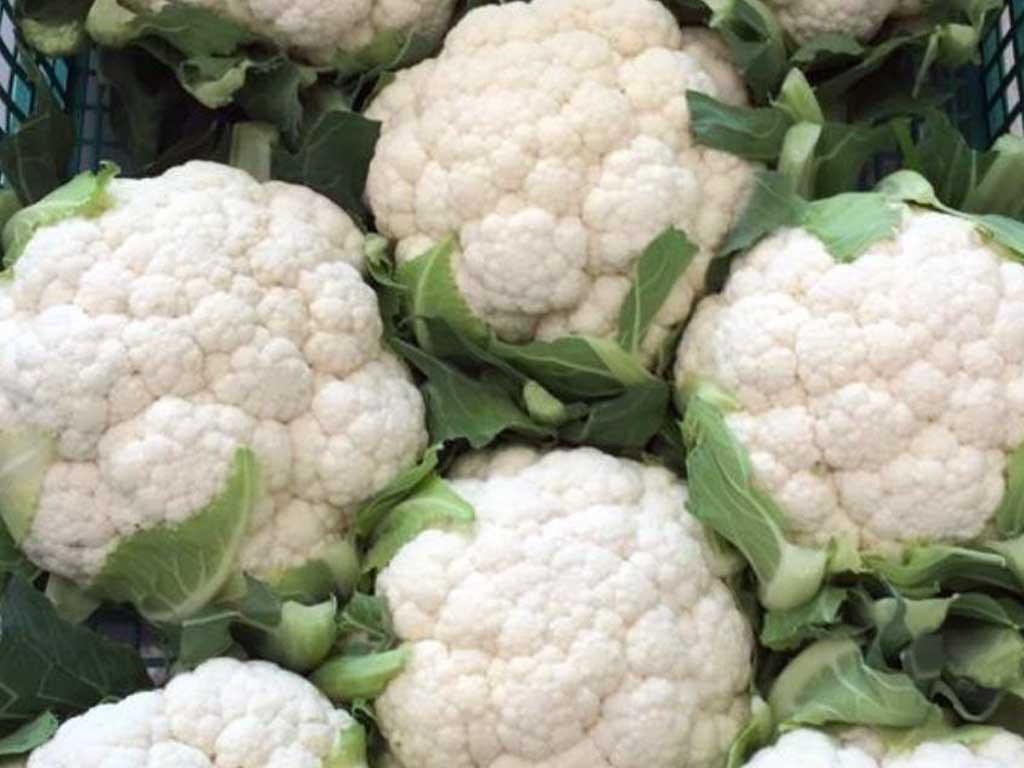Chi siamo 5 Cavolfiori - Società Agricola Morrone